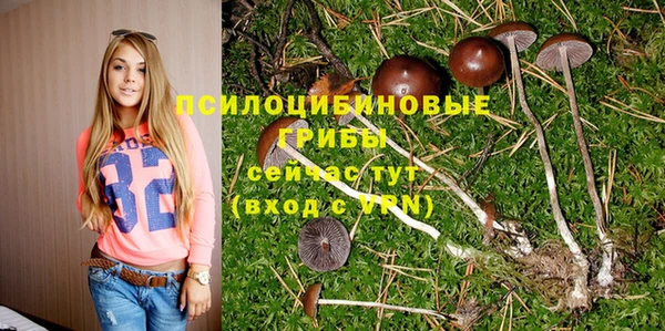 бошки Саяногорск