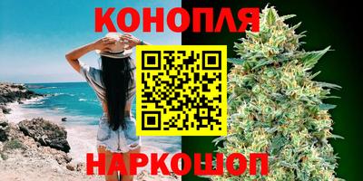 шишки Берёзовский