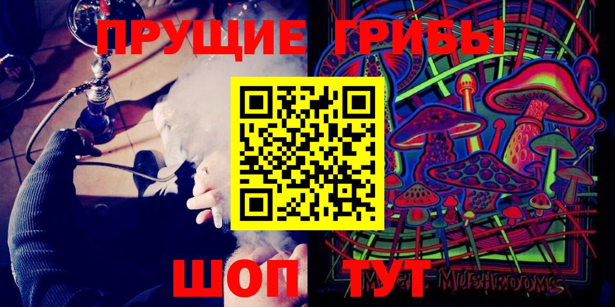 Галлюциногенные грибы Cubensis  Вход с VPN  Елабуга 
